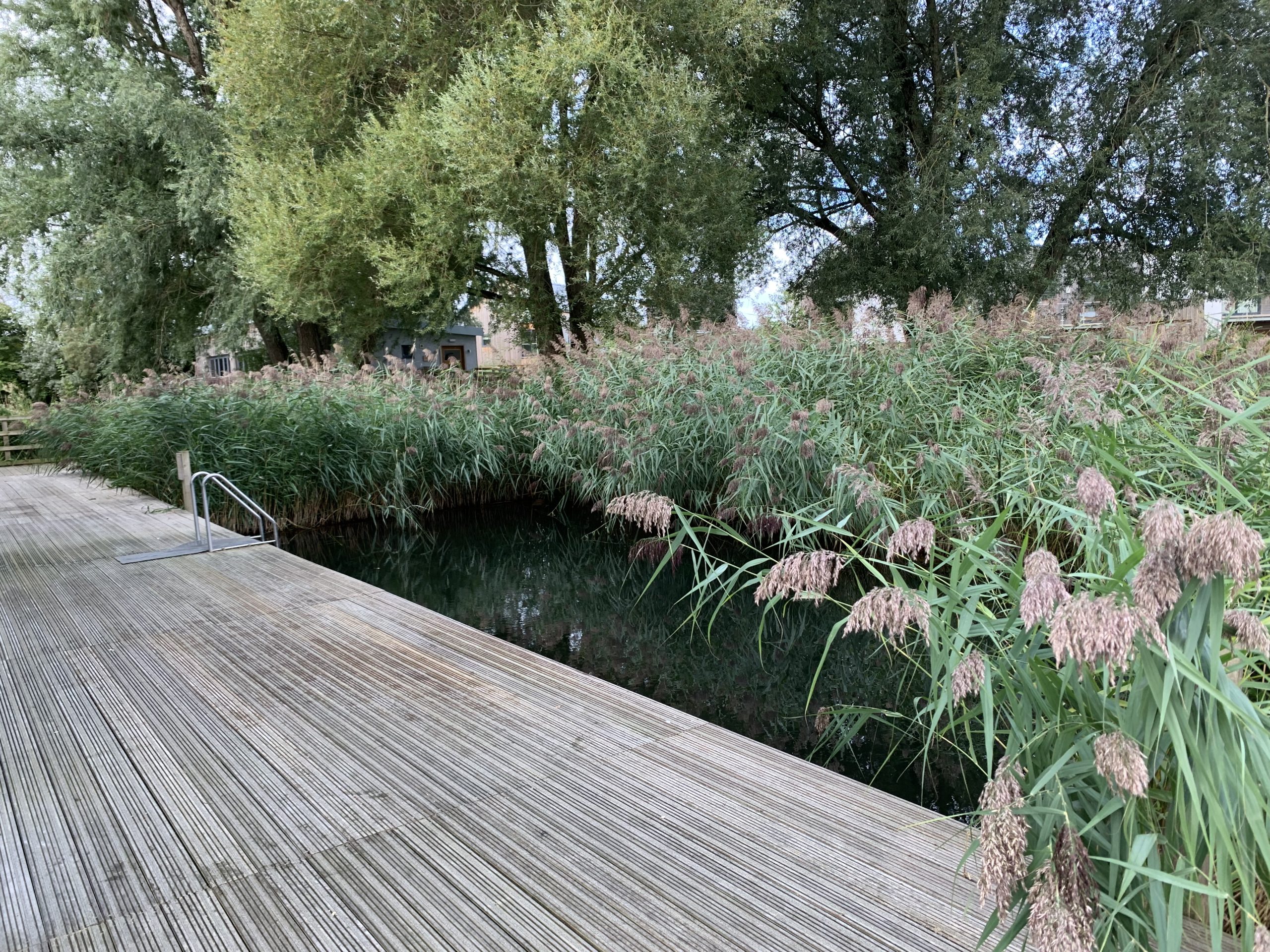 Lower Mill Estate Eco Pool