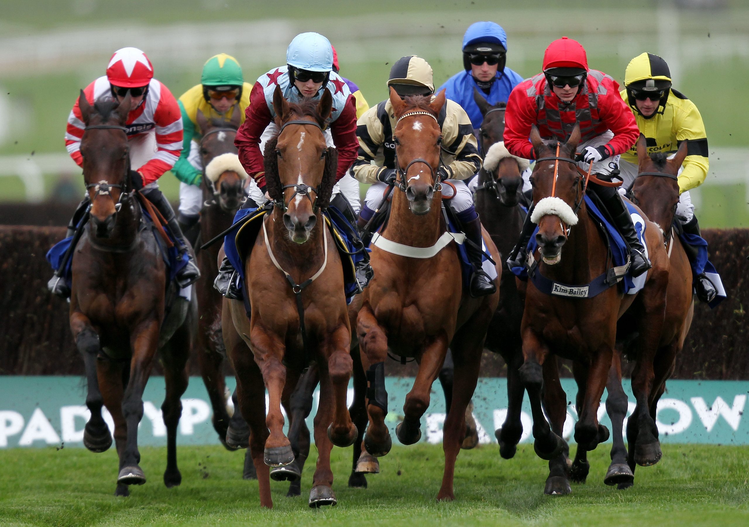 Horse Racing