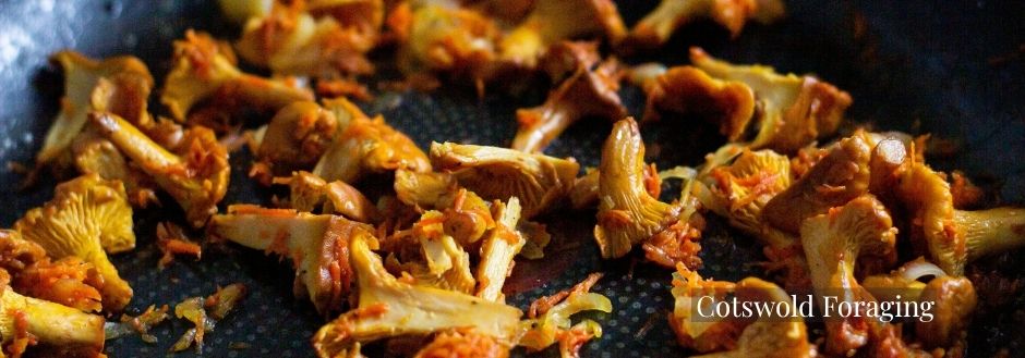 Cotswold Foraging Chanterelles Gourmet Luxury Food Mushrooms Lower Mill Estate